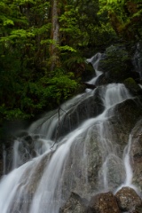 Mount Baker Waterfall.jpg
